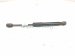 2019 BMW 330i Passenger Hood Strut / Lift Cylinder 51 23 7 419 387 Replacement 2019 BMW 330i Passenger Hood Strut / Lift Cylinder 51 23 7 419 387 Replacement thumbnail