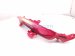 2024 Hyundai Sonata Side Marker Lamp / Light Rear Driver Bumper Reflector 92405 L1500 Replacement 2024 Hyundai Sonata Side Marker Lamp / Light Rear Driver Bumper Reflector 92405 L1500 Replacement thumbnail