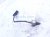 2024 Hyundai Sonata Front Upper Oxygen Sensor 2.5l 39210 2S000 Replacement 2024 Hyundai Sonata Front Upper Oxygen Sensor 2.5l 39210 2S000 Replacement thumbnail