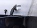 2024 Ford Mustang Front Passenger Door Black No Mirror/trim PR3Z 6320124 A Replacement 2024 Ford Mustang Front Passenger Door Black No Mirror/trim PR3Z 6320124 A Replacement thumbnail