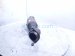 2023 Dodge Ram 1500 Passenger Catalytic Converter 3.6l 4x2 68249198AA Replacement 2023 Dodge Ram 1500 Passenger Catalytic Converter 3.6l 4x2 68249198AA Replacement thumbnail