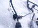 2024 Hyundai Sonata Front Bumper Wire Harness 91895 L1580 Replacement 2024 Hyundai Sonata Front Bumper Wire Harness 91895 L1580 Replacement thumbnail