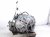 2021 Nissan Maxima Automatic Transmission = 70k Mi 31020 3WX7E Replacement 2021 Nissan Maxima Automatic Transmission = 70k Mi 31020 3WX7E Replacement thumbnail