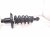 2020 Honda Pilot Rear Driver Strut Absorber + Spring 52611 TG8 A02 Replacement 2020 Honda Pilot Rear Driver Strut Absorber + Spring 52611 TG8 A02 Replacement thumbnail