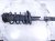 2020 Honda Pilot Front Driver Strut Absorber + Spring 51621 TG8 A01 Replacement 2020 Honda Pilot Front Driver Strut Absorber + Spring 51621 TG8 A01 Replacement thumbnail
