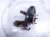 2020 Honda Pilot Front Driver Spindle Knuckle Hub Fwd 51216 TZ5 A00 Replacement 2020 Honda Pilot Front Driver Spindle Knuckle Hub Fwd 51216 TZ5 A00 Replacement thumbnail