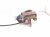 2018 Audi A5 Audi Rear Driver Brake Caliper 8W0 615 403 N QC8 Replacement 2018 Audi A5 Audi Rear Driver Brake Caliper 8W0 615 403 N QC8 Replacement thumbnail