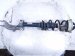 2018 Audi A5 Audi Front Driver Strut Absorber + Spring 8W0 413 031 BA Replacement 2018 Audi A5 Audi Front Driver Strut Absorber + Spring 8W0 413 031 BA Replacement thumbnail