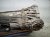 2018 Audi A5 Audi Automatic Transmission = 86k Mi 0CL 300 041 S 001 Replacement 2018 Audi A5 Audi Automatic Transmission = 86k Mi 0CL 300 041 S 001 Replacement thumbnail