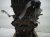 2018 Audi A5 Audi Long Block Engine / Motor = 86k Mi 06L 100 034 L Replacement 2018 Audi A5 Audi Long Block Engine / Motor = 86k Mi 06L 100 034 L Replacement thumbnail