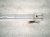 2018 Audi A5 Audi Beam Rear Bumper Reinforcement Bar 8W0 807 309 F Replacement 2018 Audi A5 Audi Beam Rear Bumper Reinforcement Bar 8W0 807 309 F Replacement thumbnail