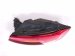 2018 Audi A5 Audi Light / Rear Passenger Tail Lamp (on Body) 8W6 945 092 E Replacement 2018 Audi A5 Audi Light / Rear Passenger Tail Lamp (on Body) 8W6 945 092 E Replacement thumbnail