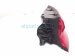 2018 Audi A5 Audi Light / Rear Passenger Tail Lamp (on Body) 8W6 945 092 E Replacement 2018 Audi A5 Audi Light / Rear Passenger Tail Lamp (on Body) 8W6 945 092 E Replacement thumbnail