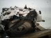 2025 Honda Pilot Automatic Transmission = 20k Mi 2002C 6FD A00 Replacement 2025 Honda Pilot Automatic Transmission = 20k Mi 2002C 6FD A00 Replacement thumbnail