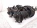 2018 Honda Civic Fr/rr Strut+spring Afmkt Set 51610 TGH A03 Replacement 2018 Honda Civic Fr/rr Strut+spring Afmkt Set 51610 TGH A03 Replacement thumbnail