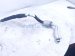 2021 Nissan Maxima Ac Pipe Line A/c Suction Hose 3.5l Fwd 92480 9UH0B Replacement 2021 Nissan Maxima Ac Pipe Line A/c Suction Hose 3.5l Fwd 92480 9UH0B Replacement thumbnail