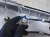 2018 Honda Clarity Trunk Wing Rear Spoiler W/3rd Brake Lt White 71700 TRT 003ZG Replacement 2018 Honda Clarity Trunk Wing Rear Spoiler W/3rd Brake Lt White 71700 TRT 003ZG Replacement thumbnail