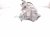 2021 Honda Accord Air + Clutch Ac Pump / Compressor 38810 6B2 A01 Replacement 2021 Honda Accord Air + Clutch Ac Pump / Compressor 38810 6B2 A01 Replacement thumbnail