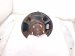 2021 Honda Accord Front Passenger Spindle Knuckle Hub 51211 TVA A01 Replacement 2021 Honda Accord Front Passenger Spindle Knuckle Hub 51211 TVA A01 Replacement thumbnail