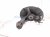 2021 Honda Accord Front Passenger Spindle Knuckle Hub 51211 TVA A01 Replacement 2021 Honda Accord Front Passenger Spindle Knuckle Hub 51211 TVA A01 Replacement thumbnail
