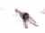 2021 Honda Accord Passenger Intermediate Jack Shaft At 44500 TVC A50 Replacement 2021 Honda Accord Passenger Intermediate Jack Shaft At 44500 TVC A50 Replacement thumbnail