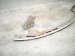 2021 Tesla Model Y Beam Front Bumper Lower Reinforcement Bar 1505433 00 A Replacement 2021 Tesla Model Y Beam Front Bumper Lower Reinforcement Bar 1505433 00 A Replacement thumbnail