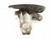 2024 Volkswagen Tiguan Front Passenger Spindle Knuckle Hub Fwd 5QM 407 254 Replacement 2024 Volkswagen Tiguan Front Passenger Spindle Knuckle Hub Fwd 5QM 407 254 Replacement thumbnail