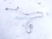 2021 Acura TLX Ac Hose Line A/c Receiver Pipe 3.0l Awd 80341 TGZ A01 Replacement 2021 Acura TLX Ac Hose Line A/c Receiver Pipe 3.0l Awd 80341 TGZ A01 Replacement thumbnail