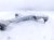 2021 Acura TLX Front Passenger Lower Control Arm 51350 TGV A03 Replacement 2021 Acura TLX Front Passenger Lower Control Arm 51350 TGV A03 Replacement thumbnail