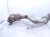 2020 Mercedes S560 Driver Catalytic Converter 4.0l Rwd 222 490 60 20 Replacement 2020 Mercedes S560 Driver Catalytic Converter 4.0l Rwd 222 490 60 20 Replacement thumbnail