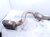 2020 Mercedes S560 Passenger Catalytic Converter 4.0l Rwd 222 490 61 20 Replacement 2020 Mercedes S560 Passenger Catalytic Converter 4.0l Rwd 222 490 61 20 Replacement thumbnail