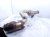 2020 Mercedes S560 Passenger Catalytic Converter 4.0l Rwd 222 490 61 20 Replacement 2020 Mercedes S560 Passenger Catalytic Converter 4.0l Rwd 222 490 61 20 Replacement thumbnail