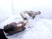 2020 Mercedes S560 Passenger Catalytic Converter 4.0l Rwd 222 490 61 20 Replacement 2020 Mercedes S560 Passenger Catalytic Converter 4.0l Rwd 222 490 61 20 Replacement thumbnail