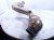 2020 Mercedes S560 Passenger Catalytic Converter 4.0l Rwd 222 490 61 20 Replacement 2020 Mercedes S560 Passenger Catalytic Converter 4.0l Rwd 222 490 61 20 Replacement thumbnail