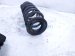 2025 Honda CR V Strut / / Shock Absorber Rear Driver Coil Spring 2.0l Fwd 52441 3D5 A02 Replacement 2025 Honda CR V Strut / / Shock Absorber Rear Driver Coil Spring 2.0l Fwd 52441 3D5 A02 Replacement thumbnail