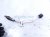 2025 Honda CR V Upper Laf Oxygen Sensor Hybrid 36531 6MA J01 Replacement 2025 Honda CR V Upper Laf Oxygen Sensor Hybrid 36531 6MA J01 Replacement thumbnail