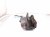 2020 Honda Odyssey Core Front Passenger Brake Caliper 45018 THR A01 Replacement 2020 Honda Odyssey Core Front Passenger Brake Caliper 45018 THR A01 Replacement thumbnail