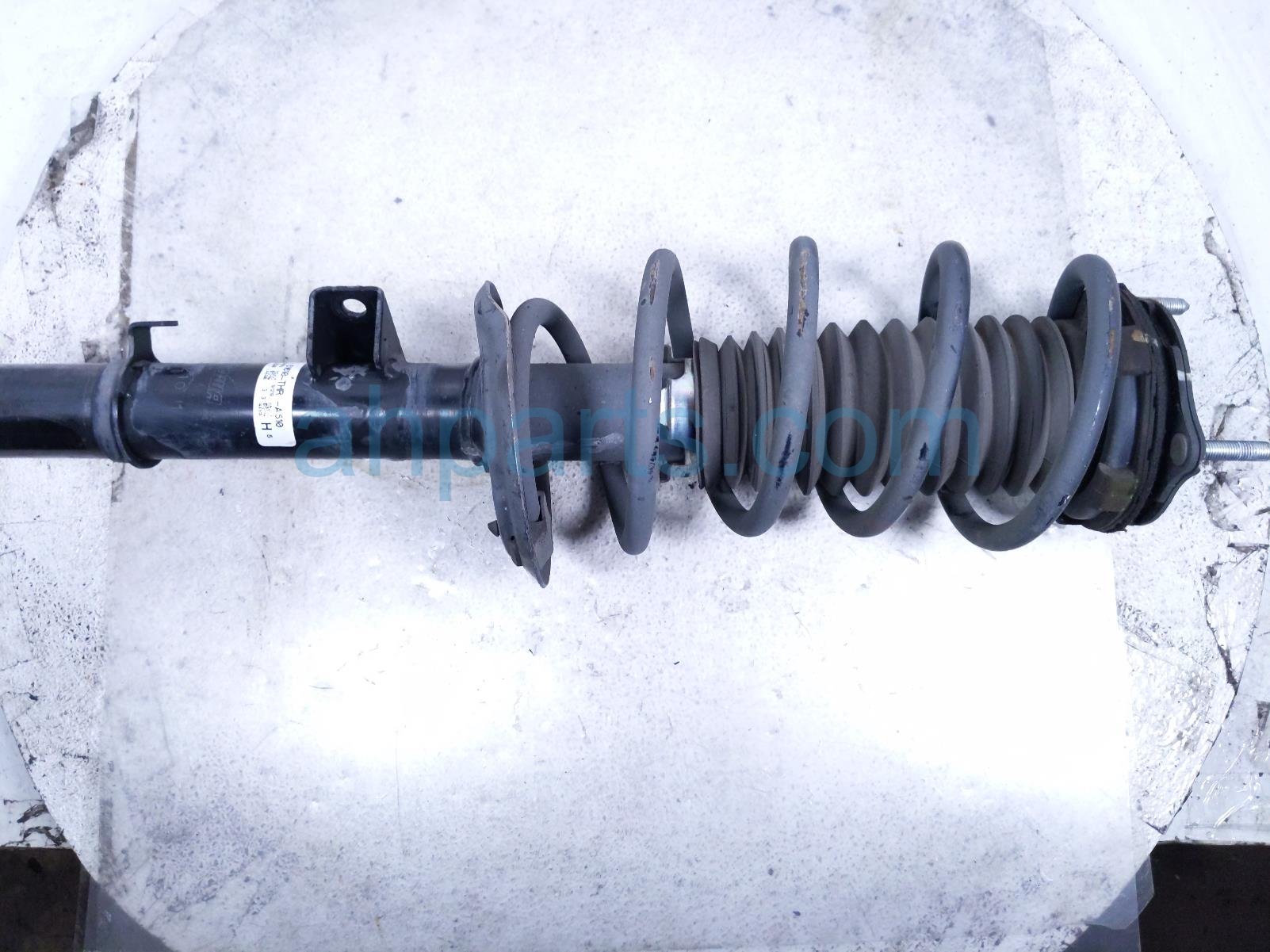 Honda FR/RH STRUT ABSORBER + SPRING