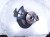 2020 Honda Odyssey Front Passenger Spindle Knuckle Hub 51211 THR A01 Replacement 2020 Honda Odyssey Front Passenger Spindle Knuckle Hub 51211 THR A01 Replacement thumbnail
