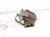 2014 Honda Accord Front Driver Brake Caliper 45019 T2G 030 Replacement 2014 Honda Accord Front Driver Brake Caliper 45019 T2G 030 Replacement thumbnail