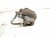 2014 Honda Accord Core Core Front Passenger Brake Caliper 45018 T2G 030 Replacement 2014 Honda Accord Core Core Front Passenger Brake Caliper 45018 T2G 030 Replacement thumbnail