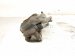 2014 Honda Accord Core Core Front Passenger Brake Caliper 45018 T2G 030 Replacement 2014 Honda Accord Core Core Front Passenger Brake Caliper 45018 T2G 030 Replacement thumbnail