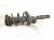 2014 Honda Accord Front Driver Strut Absorber + Spring 51621 T2B 325 Replacement 2014 Honda Accord Front Driver Strut Absorber + Spring 51621 T2B 325 Replacement thumbnail