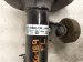 2014 Honda Accord Front Driver Strut Absorber + Spring 51621 T2B 325 Replacement 2014 Honda Accord Front Driver Strut Absorber + Spring 51621 T2B 325 Replacement thumbnail