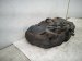 2014 Honda Accord Gas / Fuel Tank 17044 T2A L00 Replacement 2014 Honda Accord Gas / Fuel Tank 17044 T2A L00 Replacement thumbnail