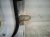 2014 Honda Accord Rear Driver Door White No Inside Trim 67550 T2F A00ZZ Replacement 2014 Honda Accord Rear Driver Door White No Inside Trim 67550 T2F A00ZZ Replacement thumbnail