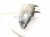 2014 Honda Accord Headlight Passenger Headlamp / Light 33100 T2A A21 Replacement 2014 Honda Accord Headlight Passenger Headlamp / Light 33100 T2A A21 Replacement thumbnail