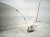 2014 Honda Accord Front Driver Fender White 60261 T2F A90ZZ Replacement 2014 Honda Accord Front Driver Fender White 60261 T2F A90ZZ Replacement thumbnail