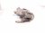 2022 Honda Passport Core Core Rear Passenger Brake Caliper 43018 TGS A01 Replacement 2022 Honda Passport Core Core Rear Passenger Brake Caliper 43018 TGS A01 Replacement thumbnail