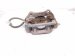 2022 Honda Passport Core Core Rear Passenger Brake Caliper 43018 TGS A01 Replacement 2022 Honda Passport Core Core Rear Passenger Brake Caliper 43018 TGS A01 Replacement thumbnail